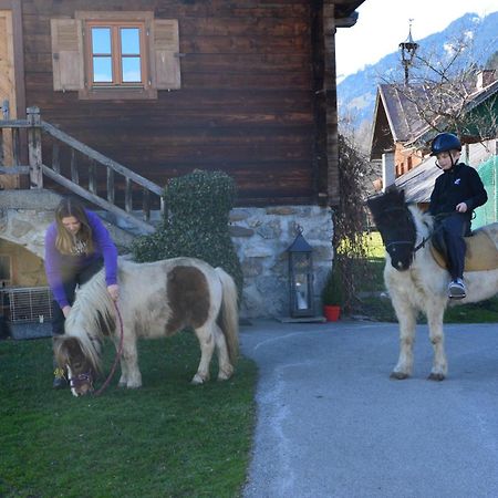 Ferienhaus Bognerhof Sankt Veit im Pongau Kültér fotó