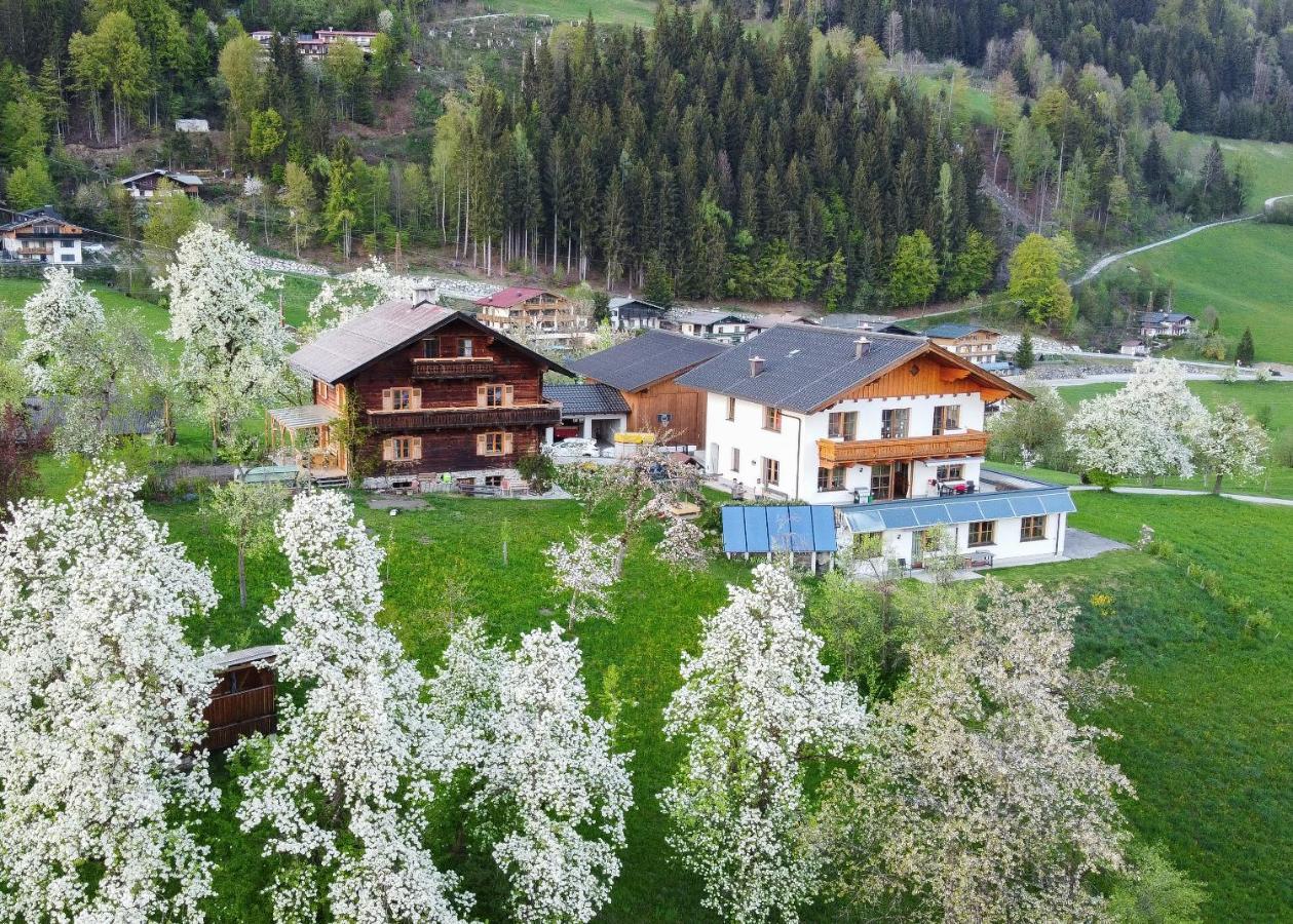 Ferienhaus Bognerhof Sankt Veit im Pongau Kültér fotó